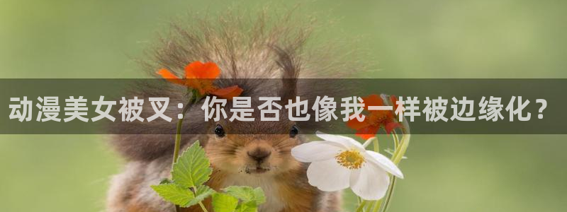 布丁动漫在线观看免费：动漫美女被叉：你是否也像我一样被边缘化？