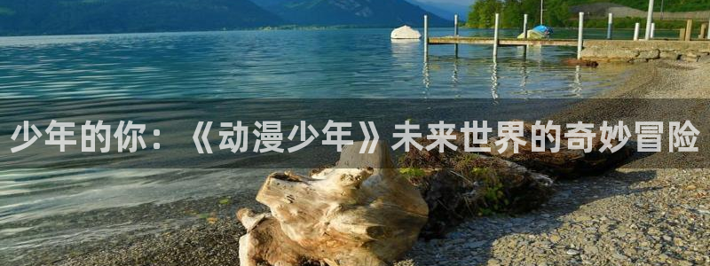 布丁动漫官网